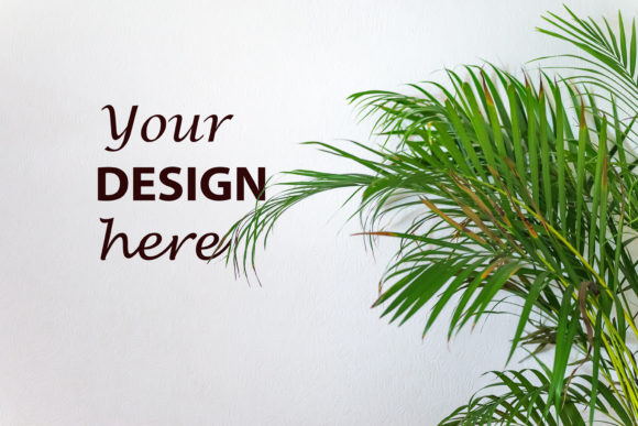 Elevate Your Visual Identity with the Areca Palm Mockup Background